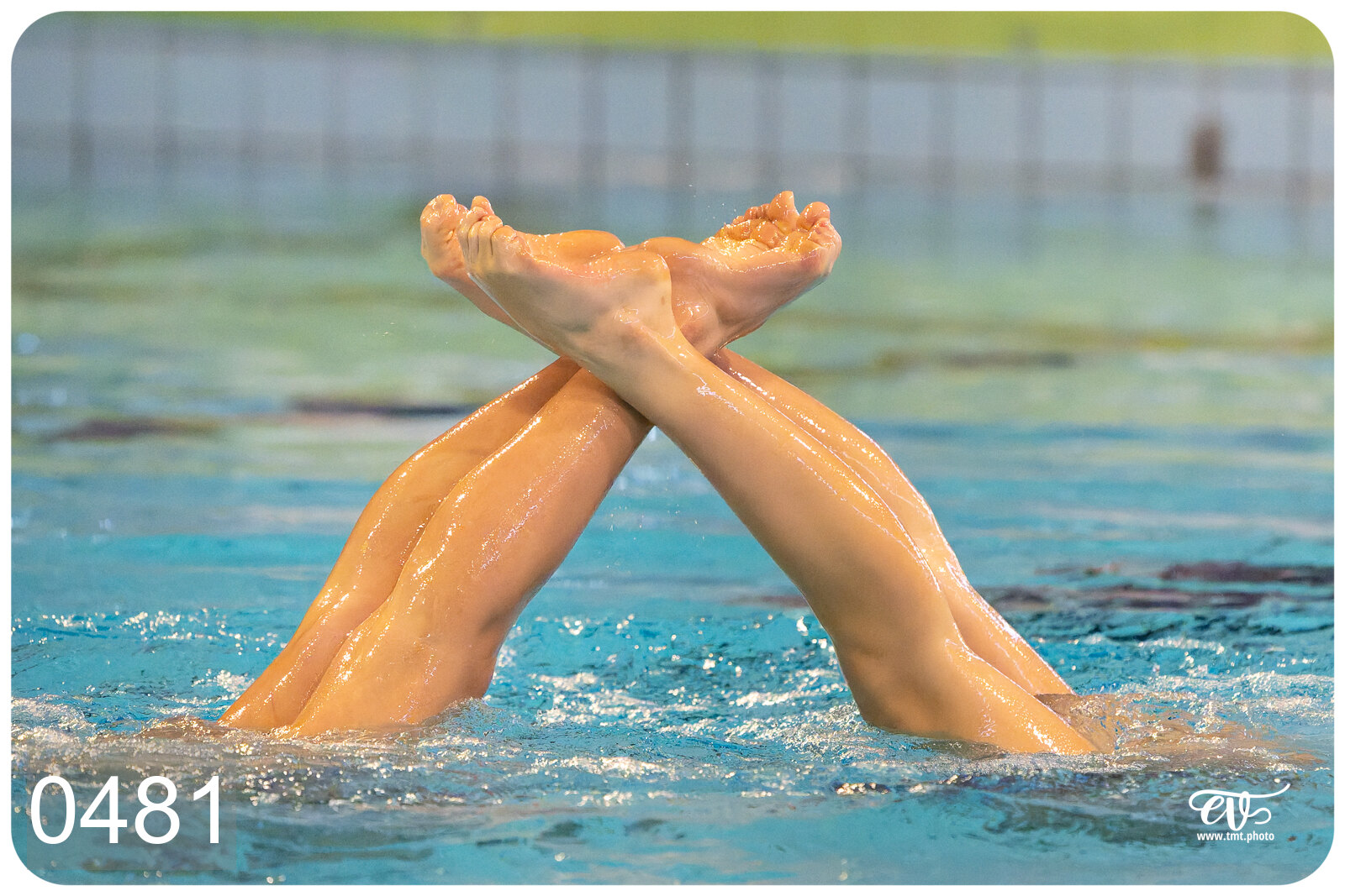 CHAMPIONNAT DE FRANCE DE NATATiON ARTISTIQUE N1 & ELITE 2026